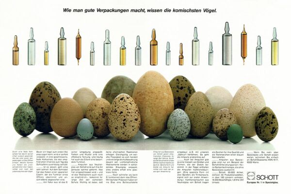 Ampullen - Eier